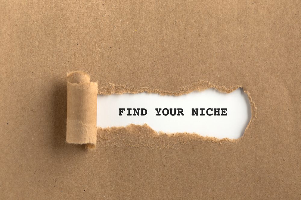 Find a profitable niche for your blog