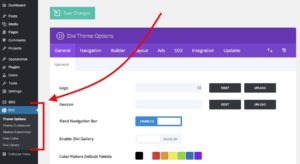 Divi theme options